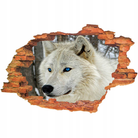 Naklejka na ścianę 3D Wilk z niebieskimi oczami 90 cm na 60 cm 