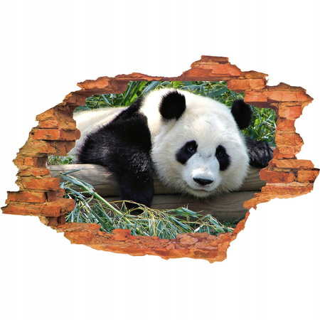 Naklejka na ścianę 3D Panda odpoczywająca na konarze drzewa 90 cm na 60 cm