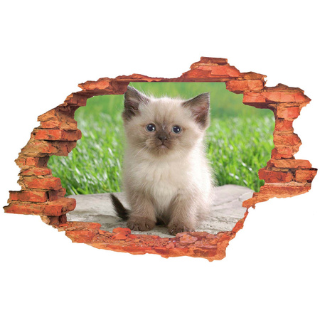 Naklejka na ścianę 3D Kot śliczny mruczek koloru biało - brązowego 90 cm na 60 cm