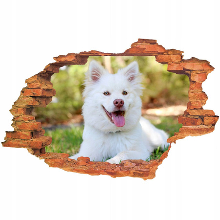Naklejka na ścianę 3D Pies biały pies z bordowym nosem 90 cm na 60 cm